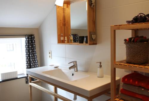 uma casa de banho com um lavatório e um espelho em Un Air de Campagne em Sprimont