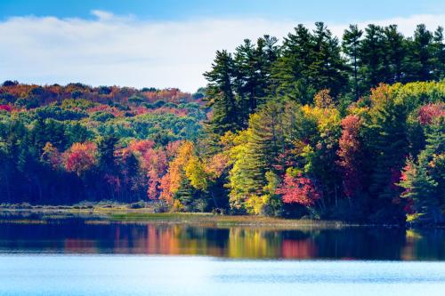 Wolf Cove Inn – Photos 5