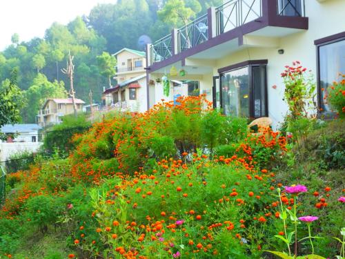 Gallery image of Hostie Sharanam - 2BHK Pvt Mountain Villa, Majkhali in Rānīkhet