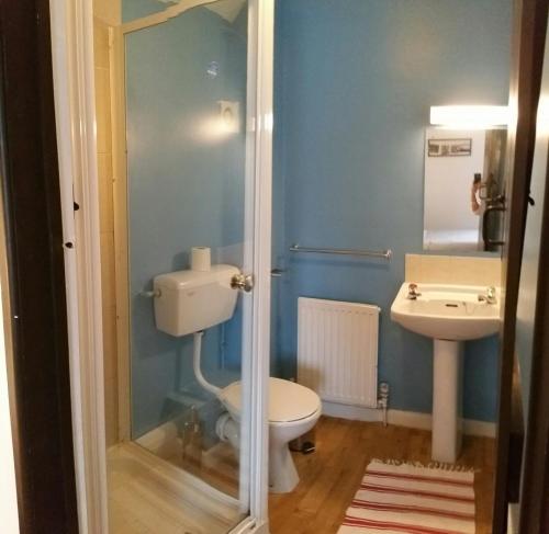 een badkamer met een toilet en een wastafel bij New Gurkha Inn in Brecon