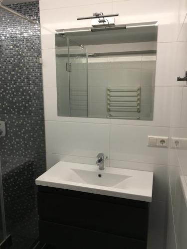 y baño con lavabo, espejo y ducha. en Apartamentai Telegrafas en Kaunas