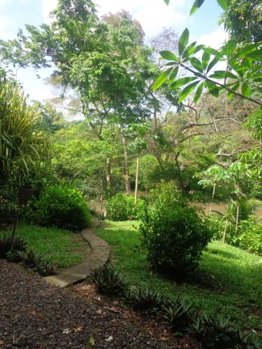 a path through a lush green garden with trees at Cabañas Cañas Castilla in La Cruz