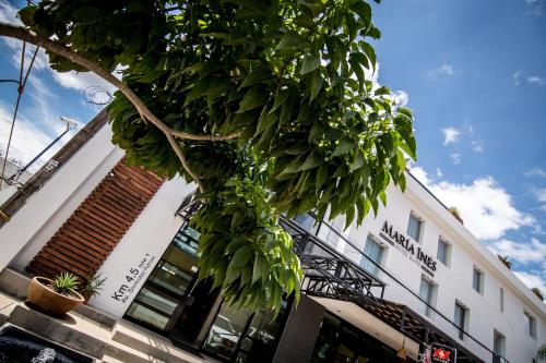 a tree in front of a white building at Maria Ines Hotel Suite in Oaxaca City