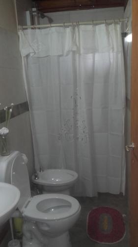 a bathroom with a toilet and a white shower curtain at Aike Cabañas de Montaña in San Clemente