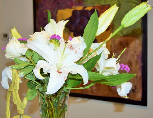 Vineyard Country Inn – Photos 5