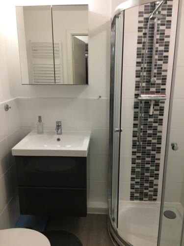 een badkamer met een wastafel en een douche bij Ferienwohnung MILA Braunlage in Braunlage