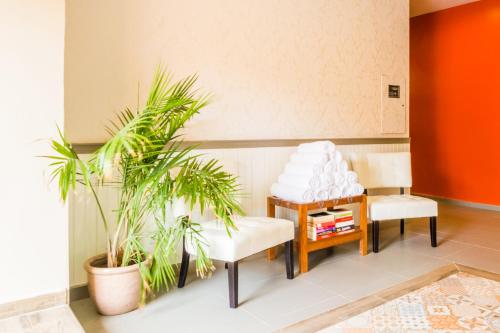 威廉斯塔德的住宿－Bed & Bike Curacao，客厅配有两把椅子和植物