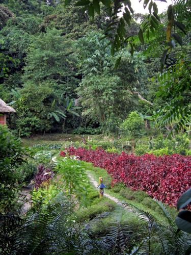 a person walking through a garden with flowers at Panhou Retreat in Ha Giang
