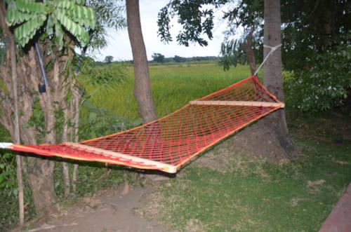 a hammock hanging from a tree in a field at Aroma Villa Homestay in Polonnaruwa