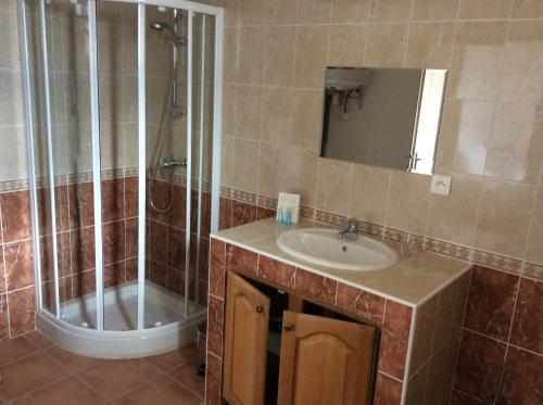 a bathroom with a sink and a shower at La Campagne de Petre in Entrevennes