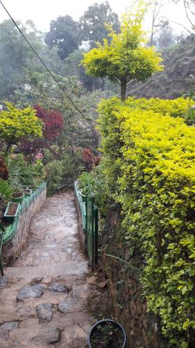 a stone path in a garden with a fence at Green House in Adams Peak