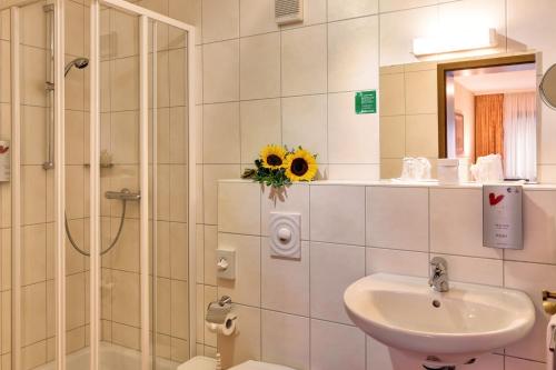 a bathroom with a shower and a sink and a toilet at Hotel Die Kleine Blume in Erfweiler