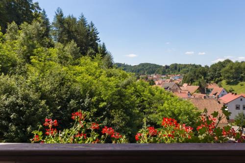a view of a town with flowers and trees at Hotel Die Kleine Blume in Erfweiler
