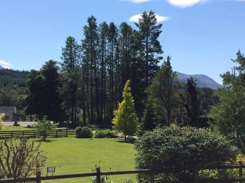 a green field with trees and a fence at Coire Glas Guest House in Spean Bridge
