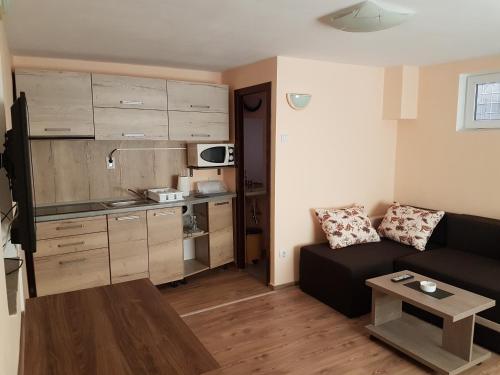 a living room with a couch and a kitchen at Amma in Braşov