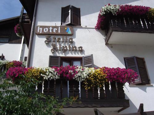 a white building with flower boxes on a window at Hotel Stella Alpina in Fai della Paganella