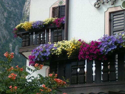 a building with lots of flowers on a balcony at Hotel Stella Alpina in Fai della Paganella