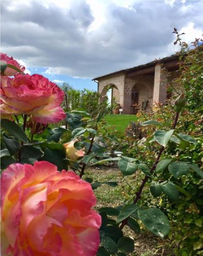 a garden with pink flowers in front of a building at Bio Agriturismo Le Cascatelle in Saturnia