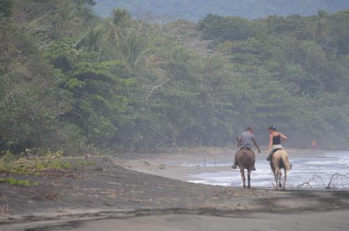 a man and a woman riding horses on the beach at Finca Valeria Treehouses Glamping in Cocles