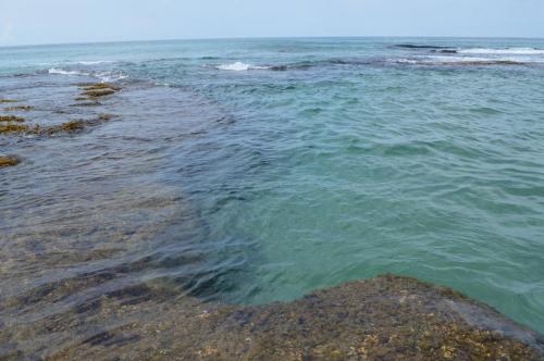 a view of the ocean from the shore at Finca Valeria Treehouses Glamping in Cocles
