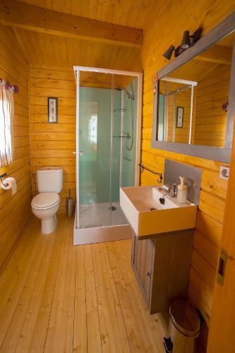 a bathroom with a toilet and a shower and a sink at Cabañas de la Romedina in Bañobárez