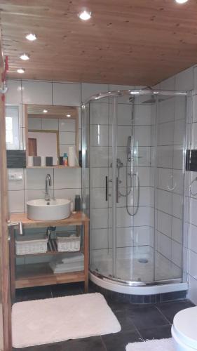 a bathroom with a shower and a sink at Chata v Jizerských Horách in Liberec