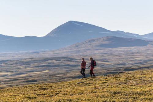 two people walking on top of a hill at Hotell Bruksvallsliden in Bruksvallarna