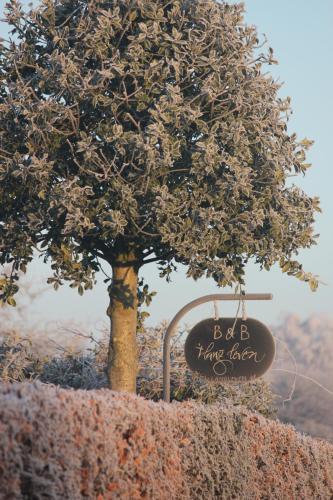 B&B 't Lang Leven – Photos 2