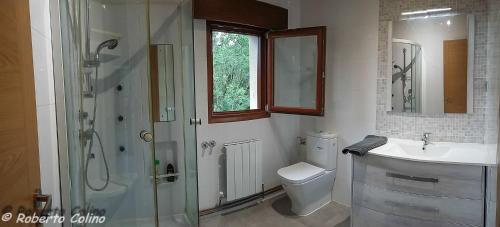 a bathroom with a shower and a toilet and a sink at Artesoro Baserria in San Pedro de Galdames