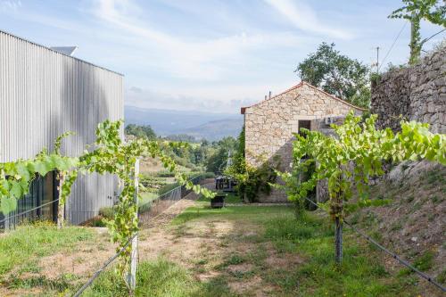 an external view of a vineyard with a building at Melgaço Alvarinho Houses in Melgaço
