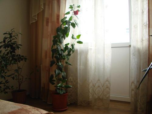 Łazienka w obiekcie Apartment on Zamkovaya