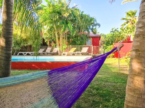 a person laying in a hammock in a yard at Sunset Surf Camp in Saint-François