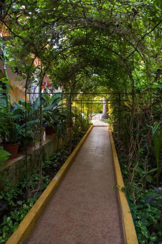 a walkway through a garden with trees and plants at Hacienda Boutique B&B and Spa Solo Adultos in Cozumel