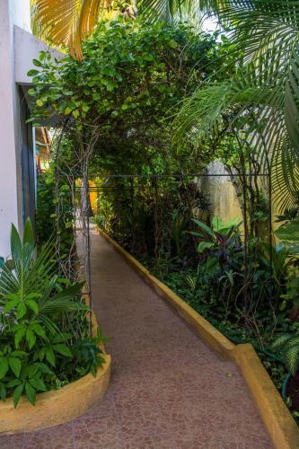 a walkway through a garden with plants and trees at Hacienda Boutique B&B and Spa Solo Adultos in Cozumel
