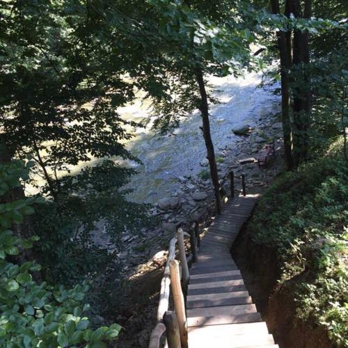 a wooden path next to a river with trees at Polyana Apart in Polyana