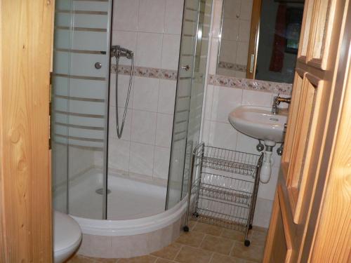 a bathroom with a shower and a sink at Penzion Na Habeši in Kašperské Hory