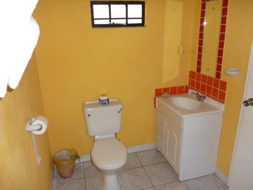 a bathroom with a toilet and a sink at The Hummingbird in Crown Point