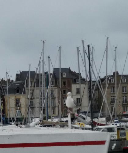 a group of boats docked in a harbor with buildings at EGG HOTEL - HOTEL LES GENS DE MER Dieppe in Dieppe