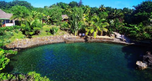 an overhead view of a pool of water with palm trees at Samaria Lodge in Sainte Marie