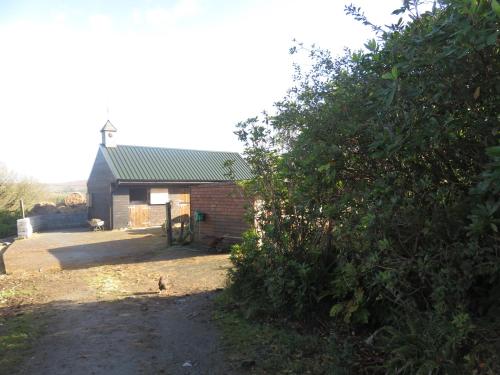 a small brick building with a tree in front of it at BunkHouse - Letterfrack Farm in Letterfrack
