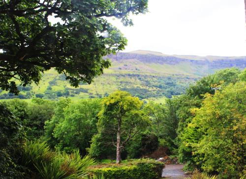 a path through a forest with mountains in the background at Kilmore Country House in Glenariff
