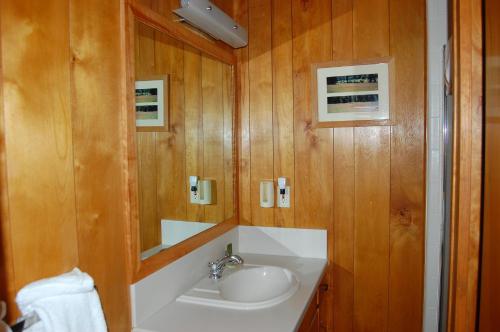 une salle de bain avec un lavabo et un miroir dans l'établissement 39 River Song, à North Wawona
