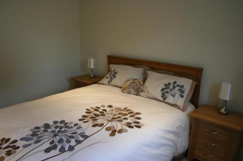 Highlands Apartment 5 – Photos 4
