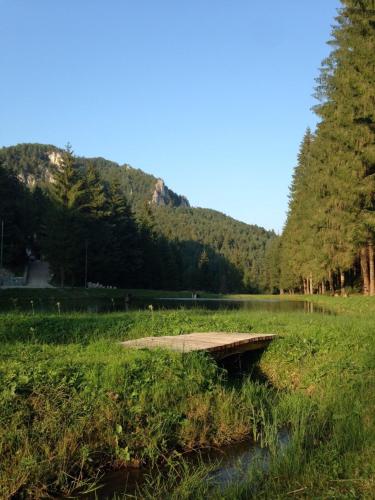 a picnic table in a field with a lake and trees at Chata Patúch in Babkov