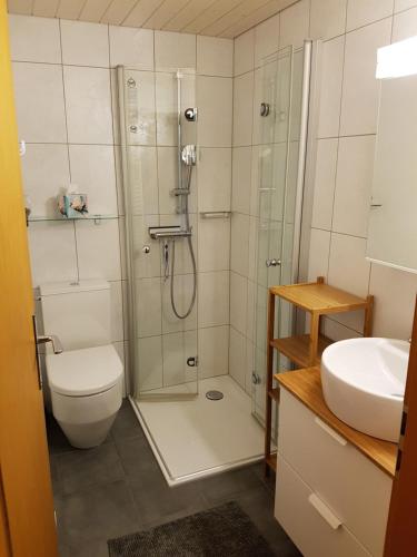 a bathroom with a shower and a toilet and a sink at Chalet Florida in Bürchen