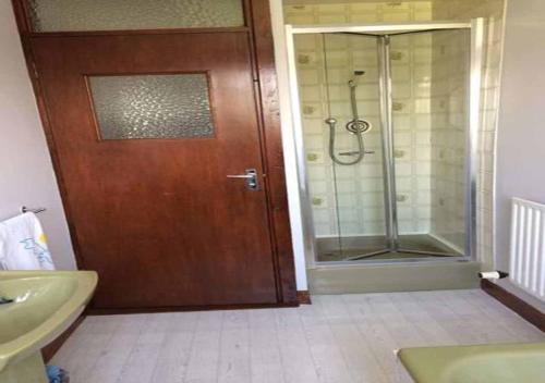 ウェックスフォードにあるFaythe Holiday Home Wexford Townのバスルーム(シャワー付)、木製のドアが備わります。
