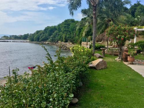 a view of a beach with a palm tree and the water at Villas Jardin Del Mar in Cruz de Huanacaxtle