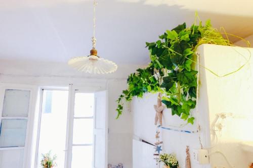 モノーポリにあるDimora Storica Monopoliの冷蔵庫付きの部屋の天井に垂れ下がる植物