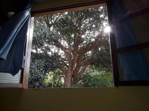 Κήπος έξω από το Casa da Trilha