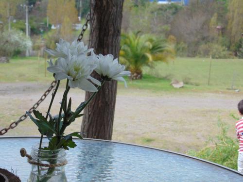 a vase with white flowers sitting on a table at Cabañas Puente Negro in Puente Negro
